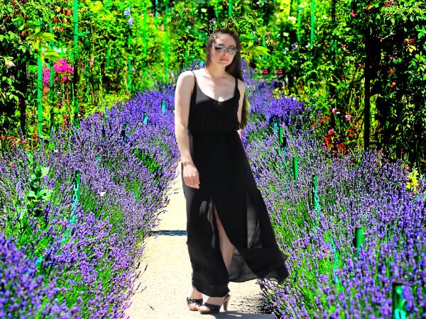 Monet's Lavender