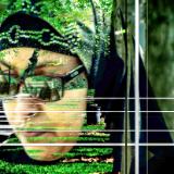 Hajib
