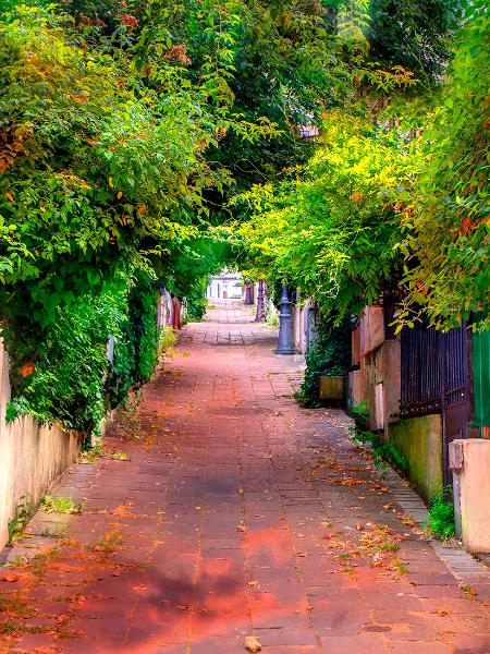 street